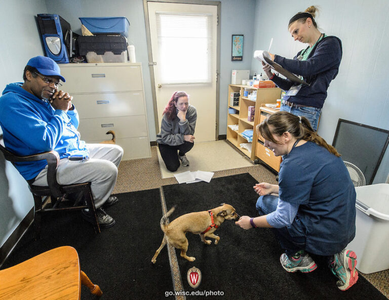 University of Wisconsin-Madison School of Veterinary Medicine students Melissa Hayes (right) and Lindsey Meyer (far right) perform a check-up visit with owners Clarence and Kelly and their dogs Ike and Tina at a Wisconsin Companion Animal Resources, Education and Social Services (WisCARES) clinic in Madison on Oct. 24, 2015. The WisCARES program seeks to provide holistic health care and housing support to Dane County's disadvantaged residents and their pets.